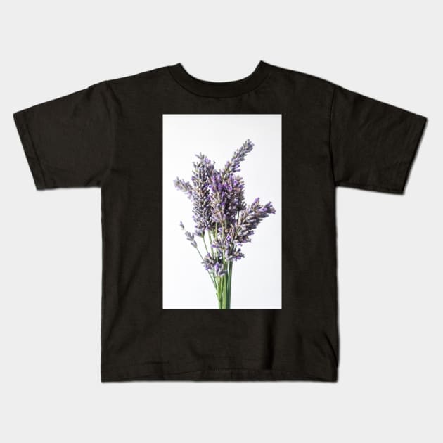 Lavender Flower on White Background Kids T-Shirt by Anastasia-03